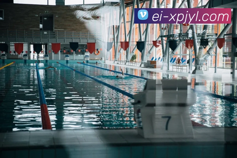 澳门新葡京娱乐APP 高清赛事图